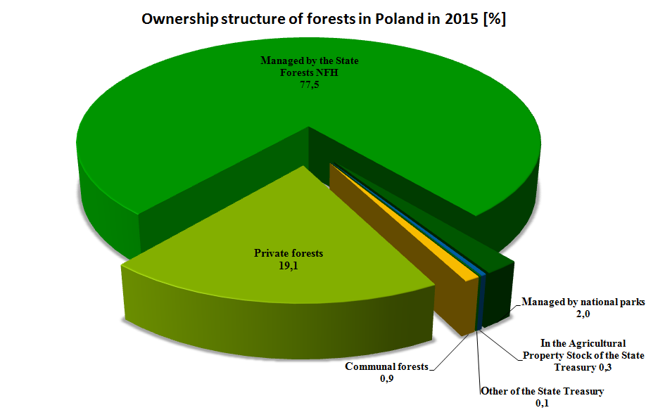 Forests in Poland